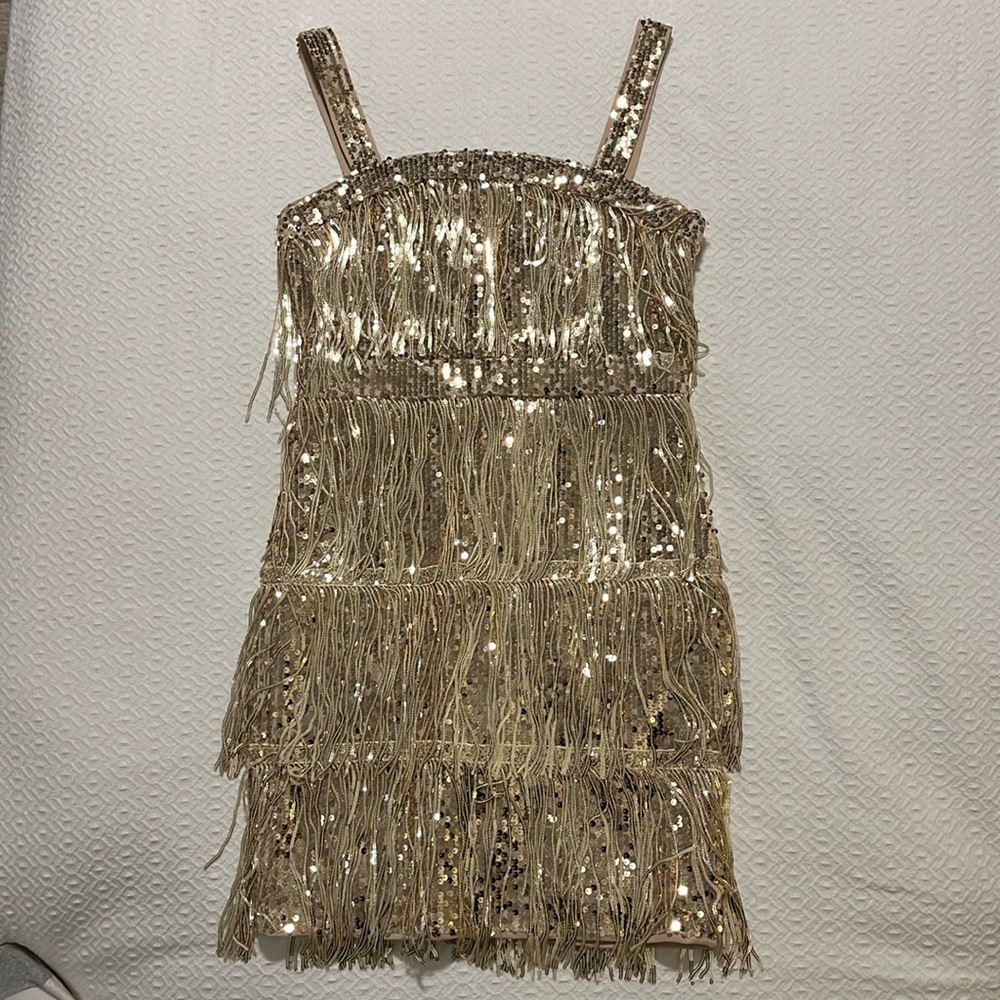 Gold sequin fringe dress Halloween or Taylor swift fearless era costume